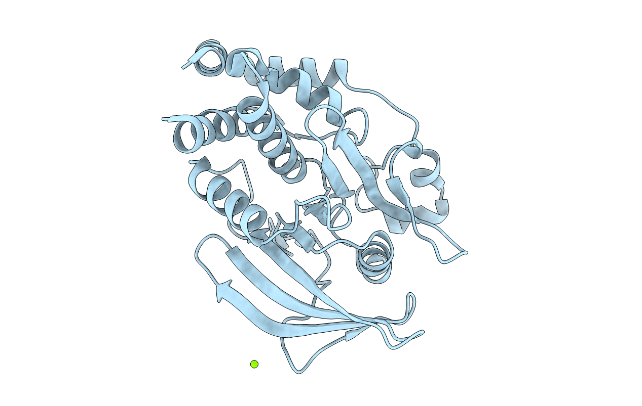 7LFO image