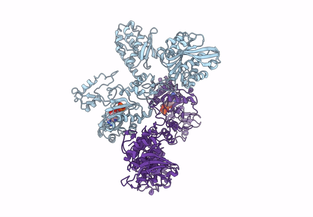 7LGM image
