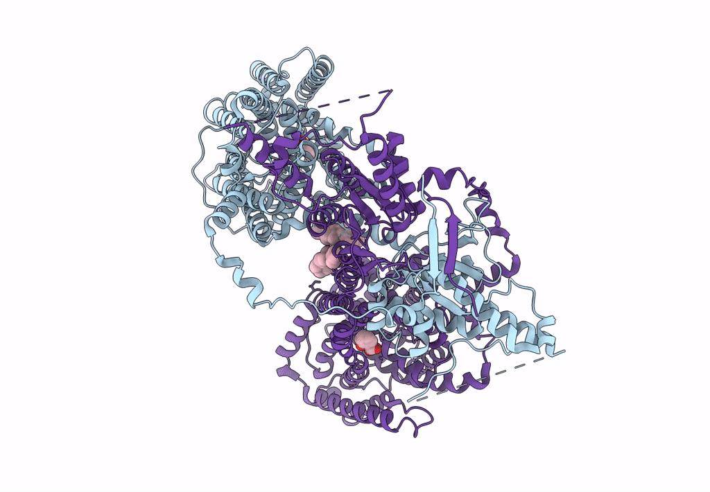 7LH2 image