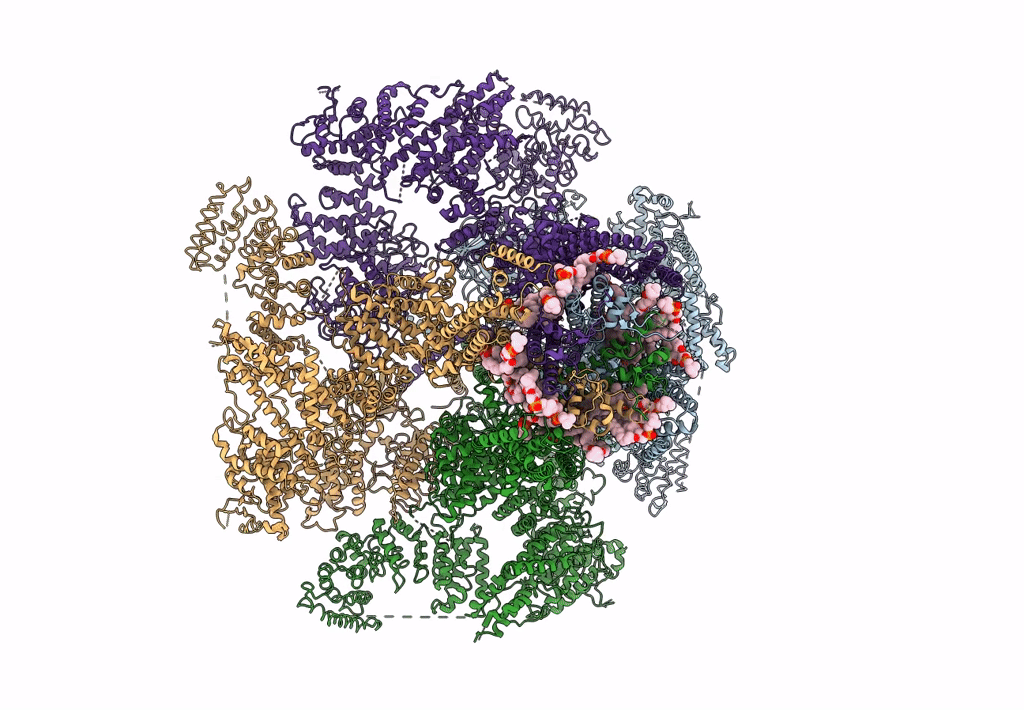 7LHF image