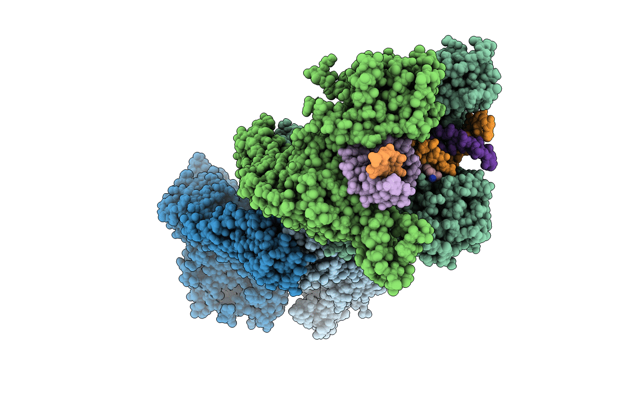 7LHZ image