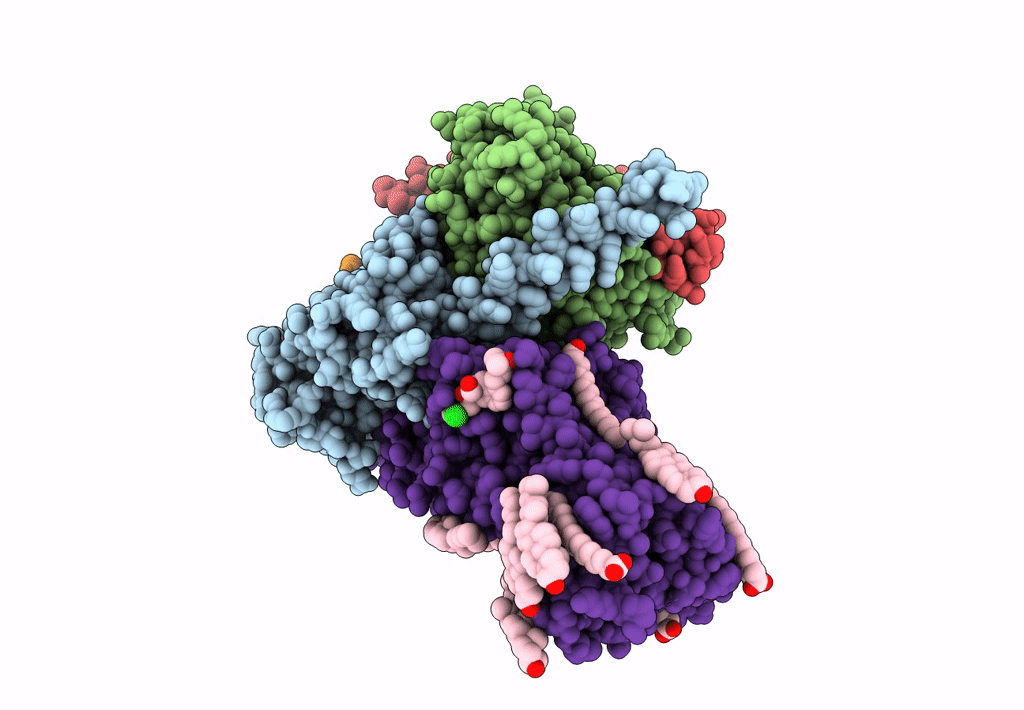 7LJC image