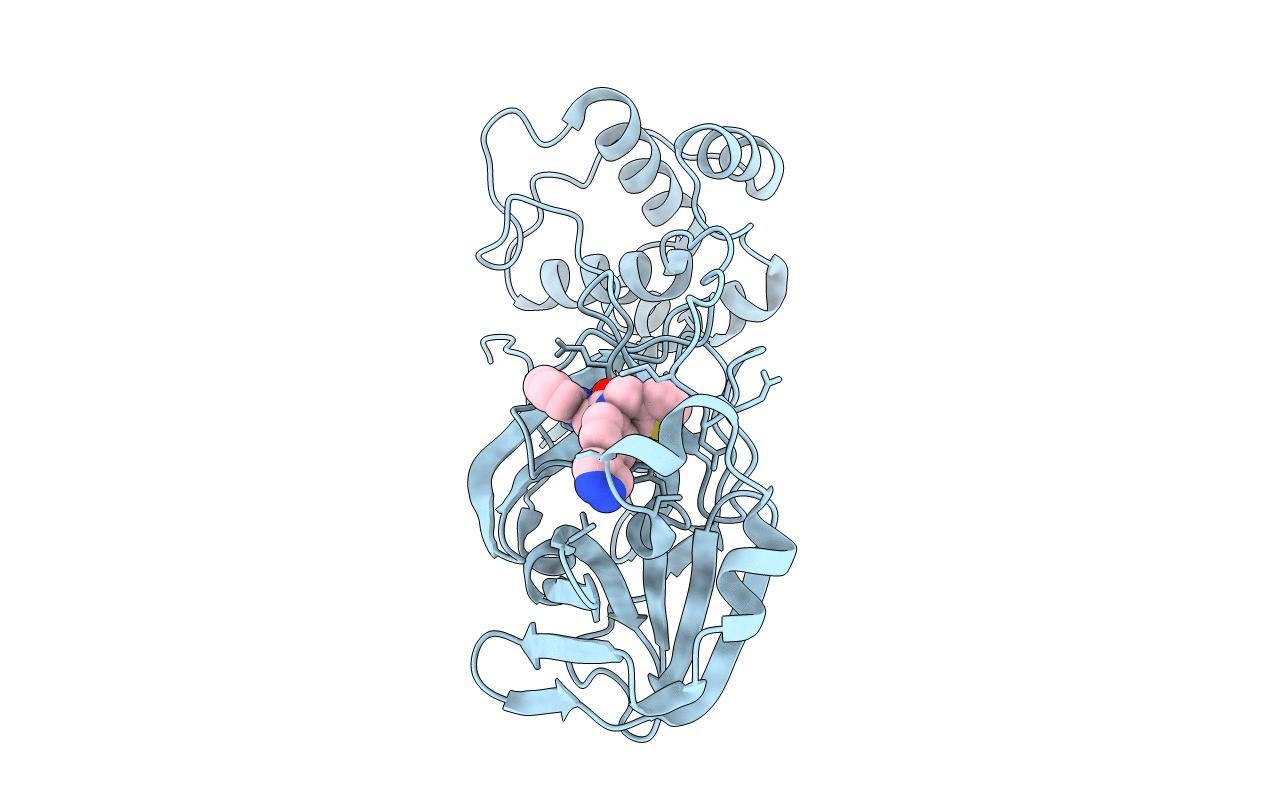 7LMD image