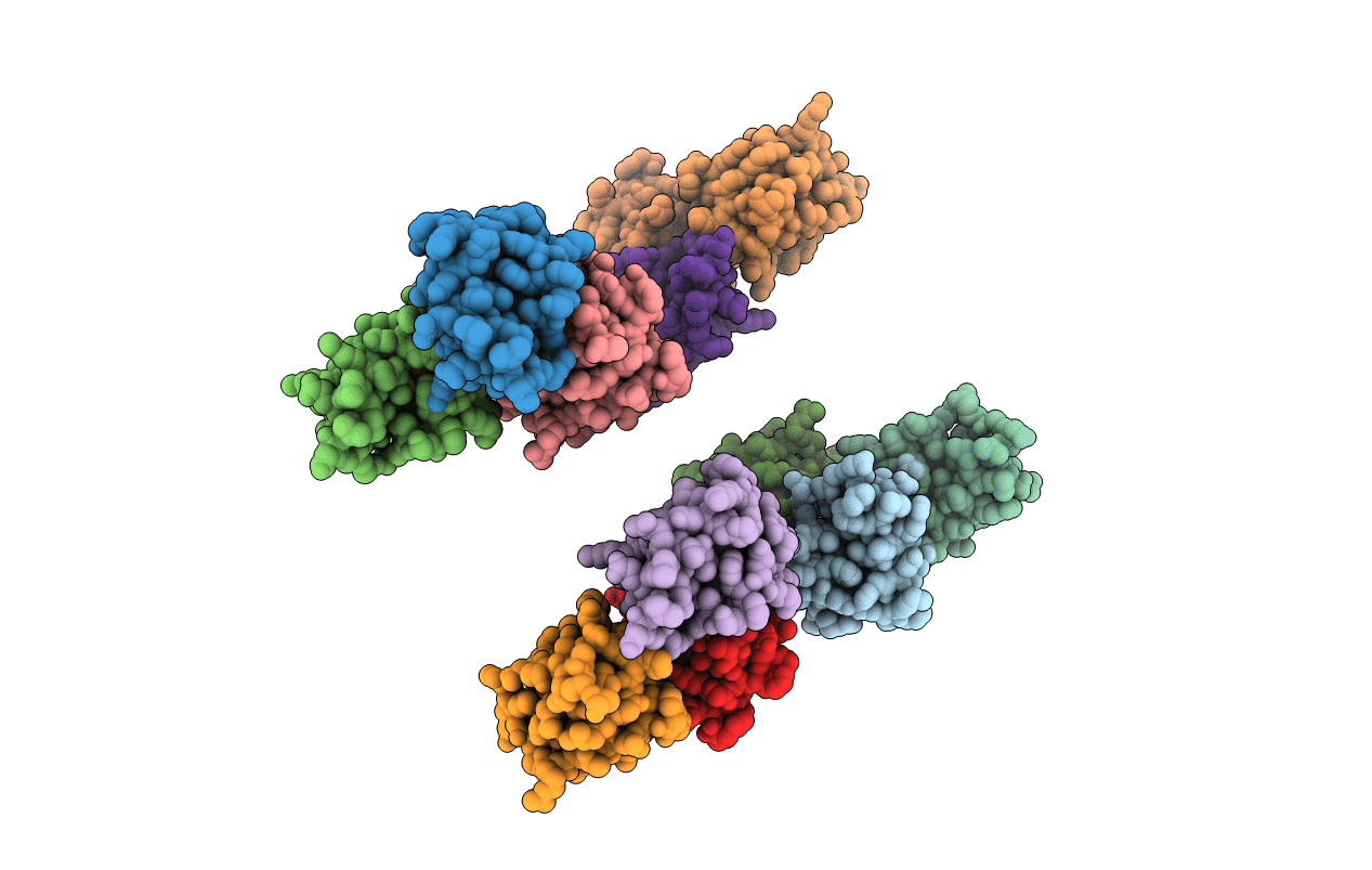 7LMV image
