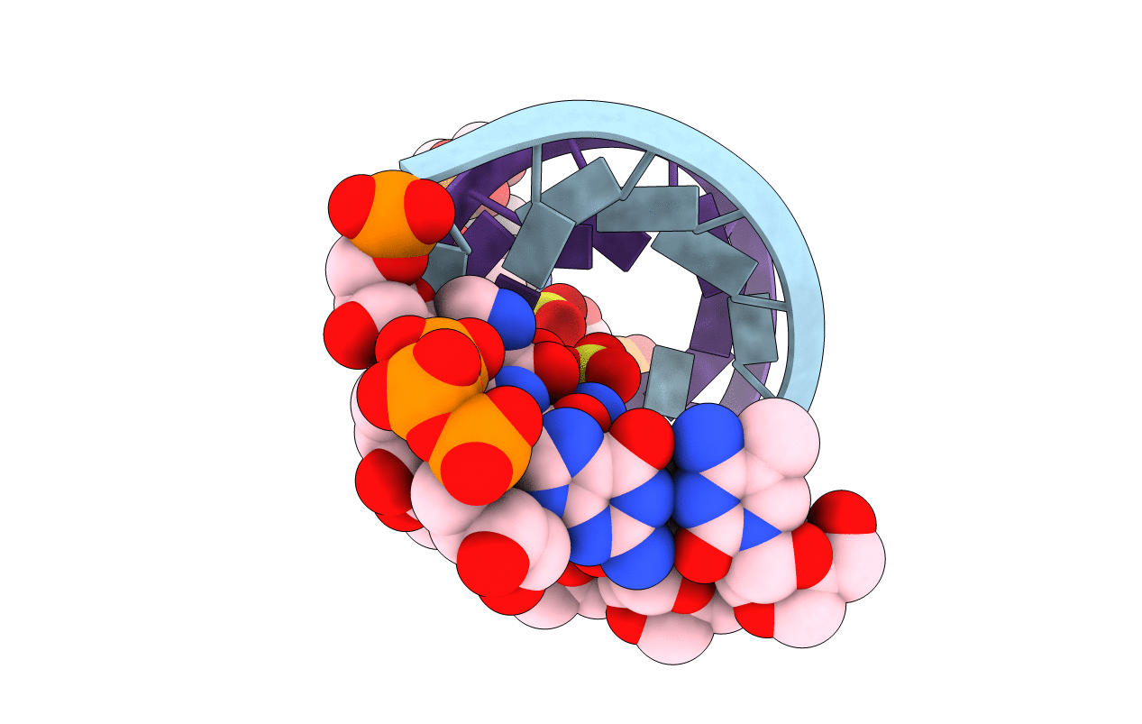 7LNE image