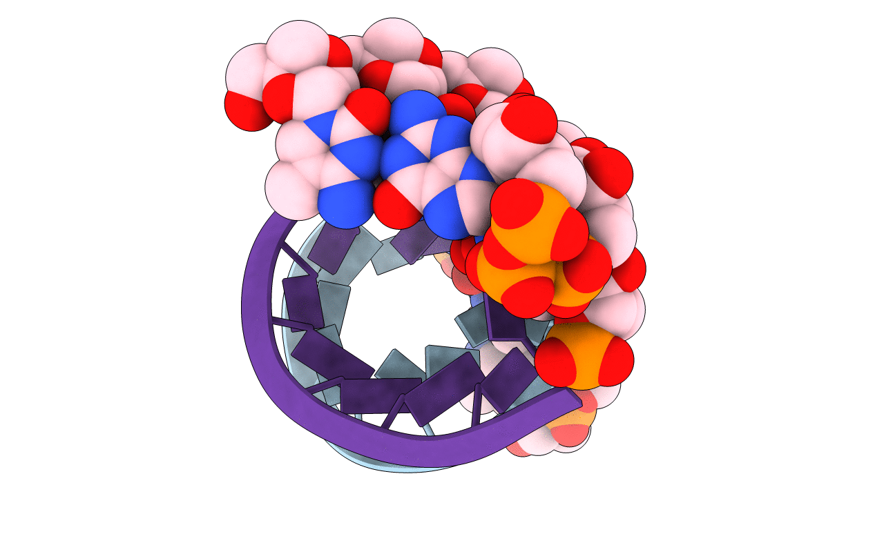 7LNG image