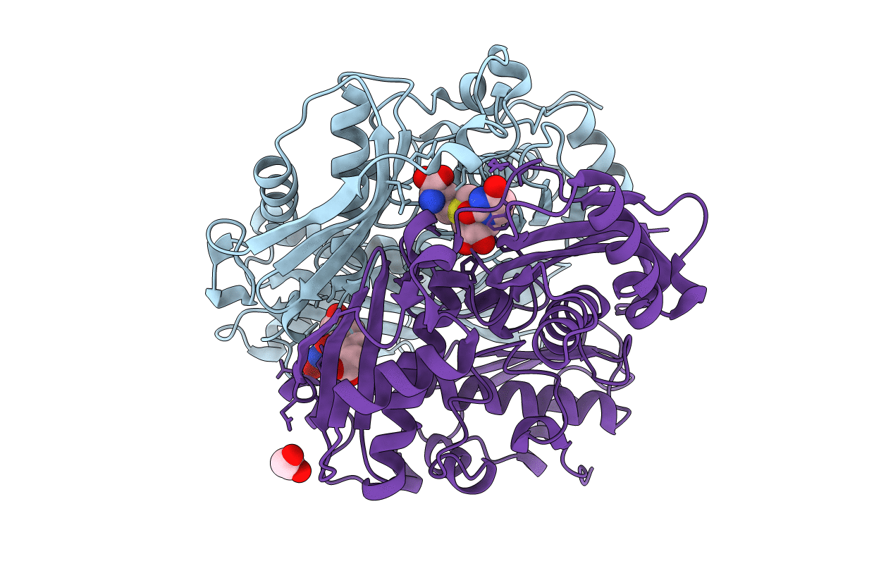 7LNH image