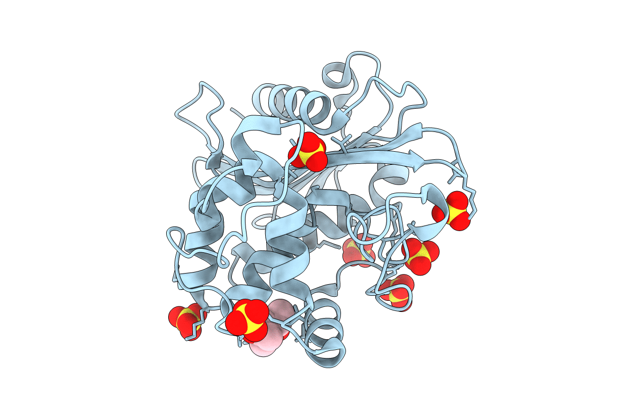 7LNO image