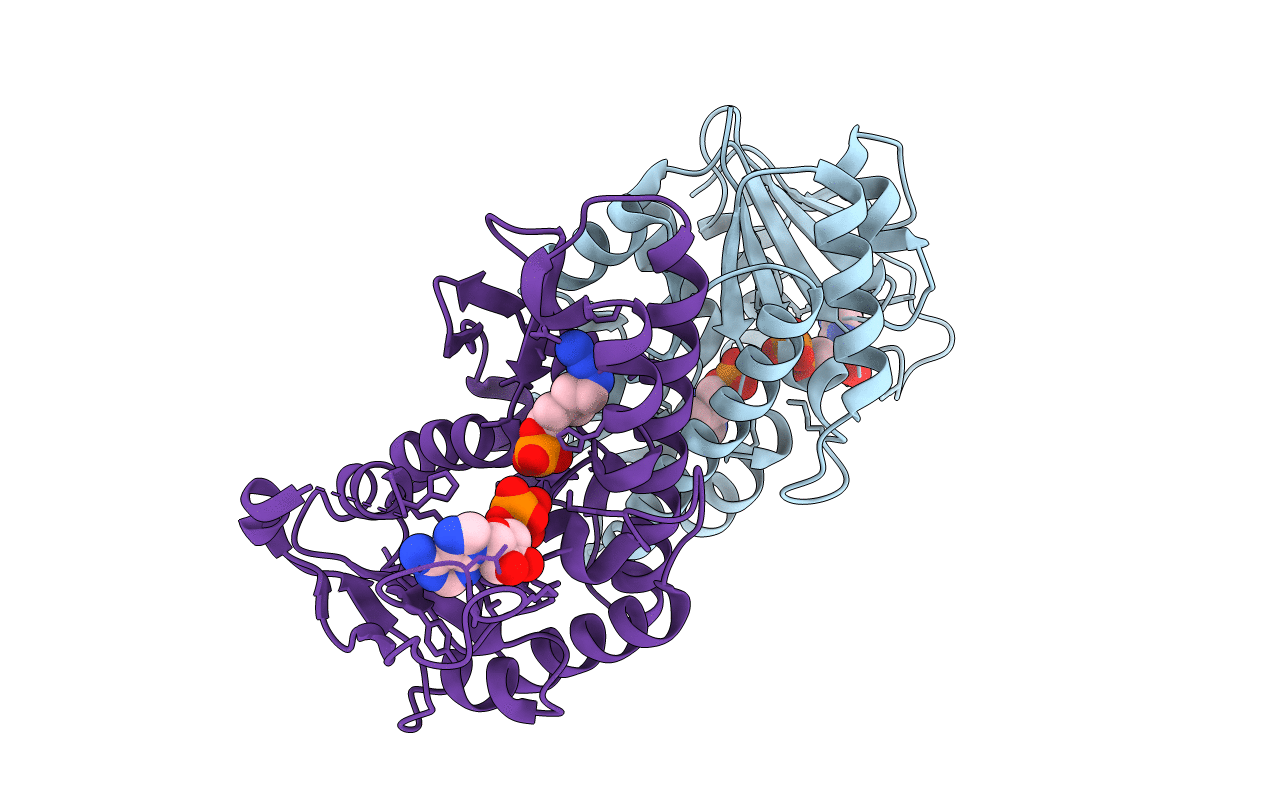 7LNW image
