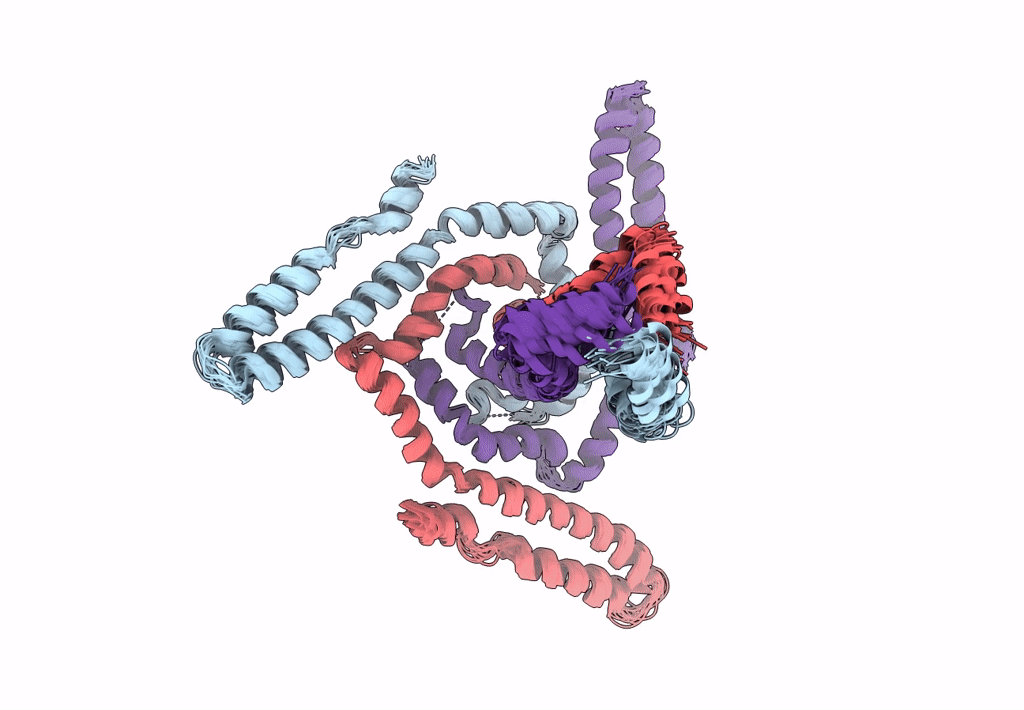 7LOI image