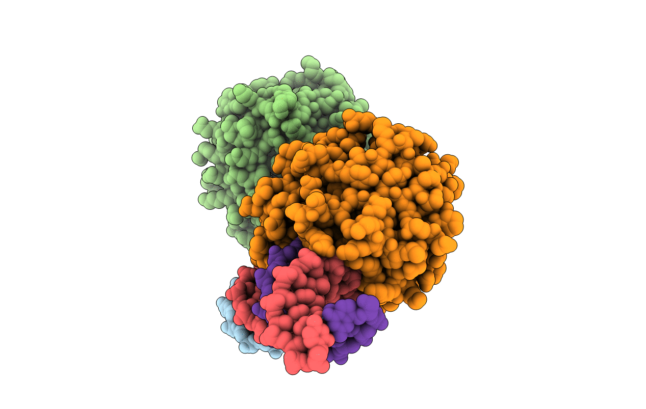 7LPH image