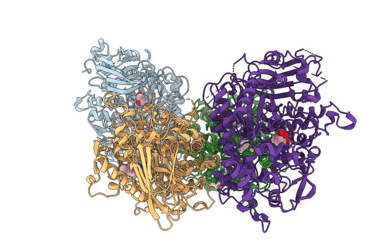 7LPP image
