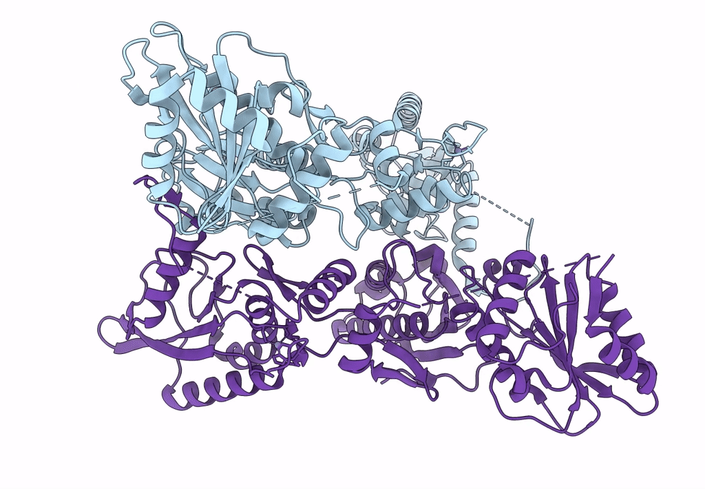 7LRE image