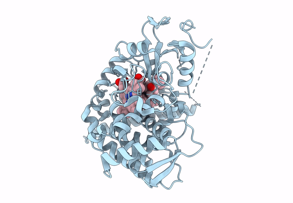 7LS3 image