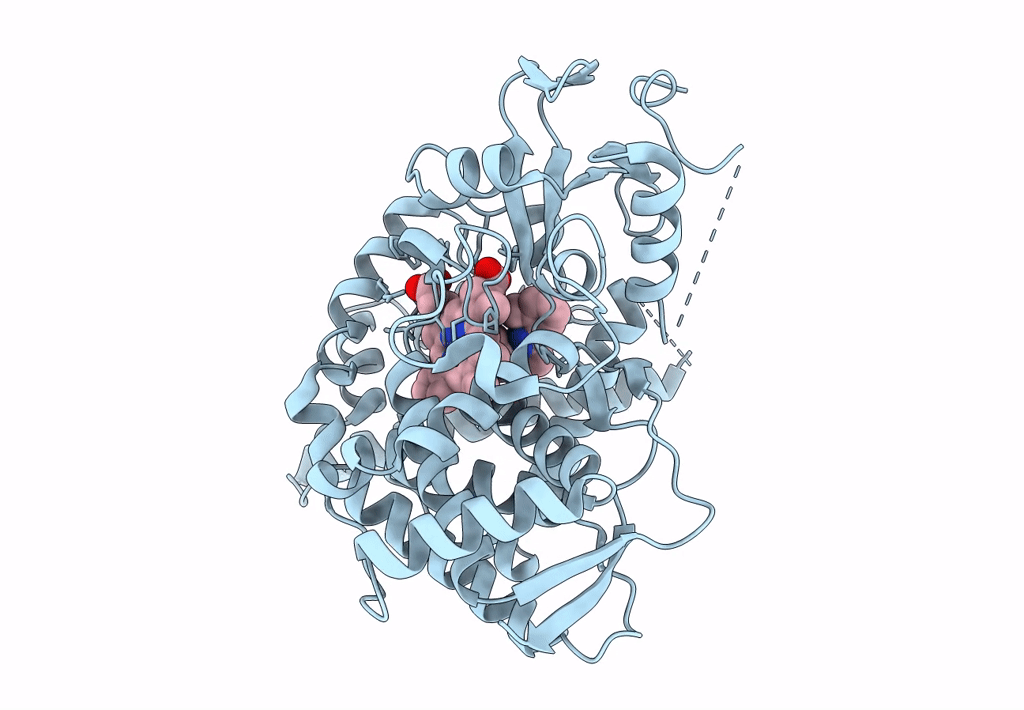 7LS4 image