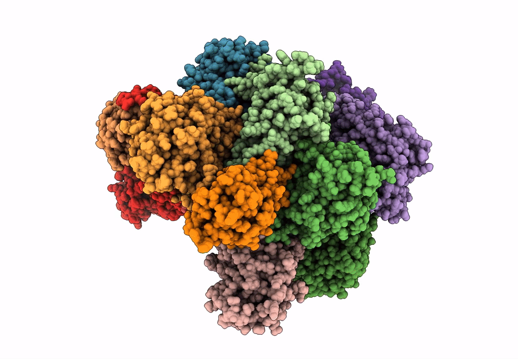 7LS6 image