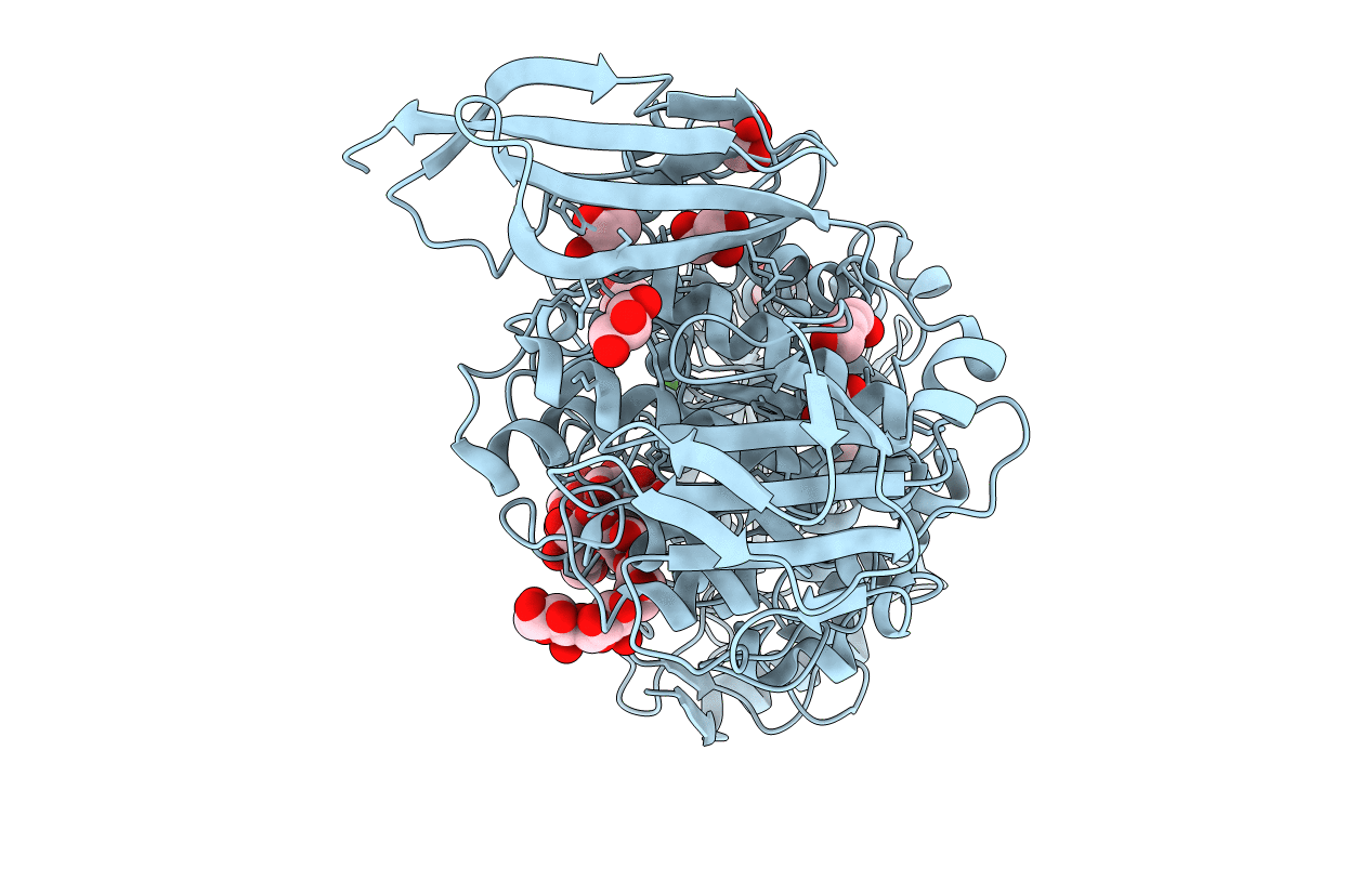 7LSA image
