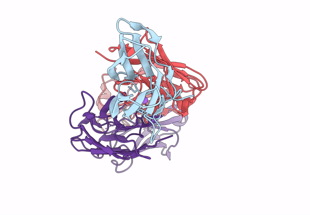 7LSF image