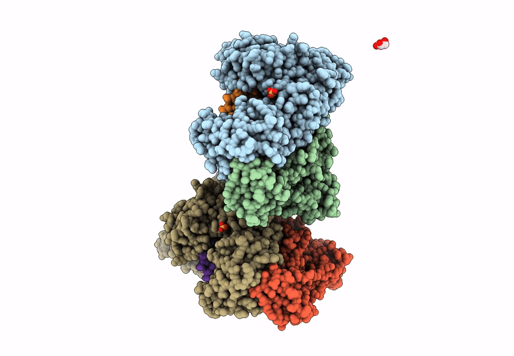 7LSK image