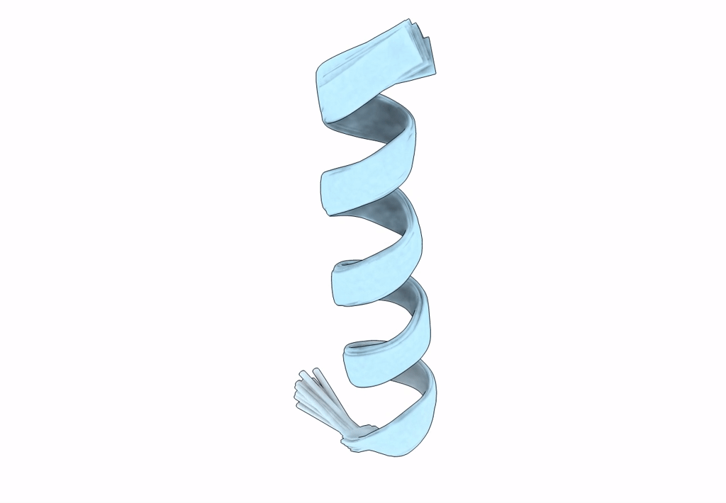 7LSP image