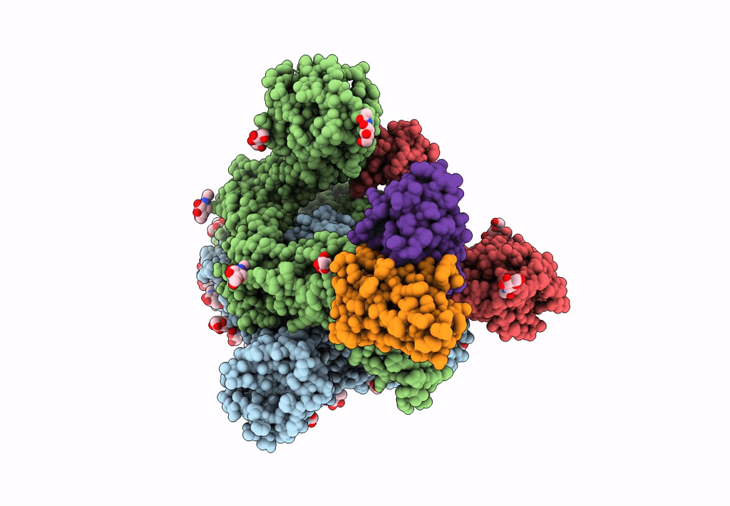 7LSS image
