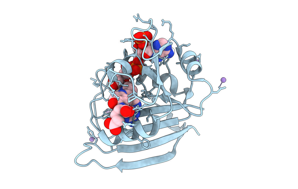 7LVC image