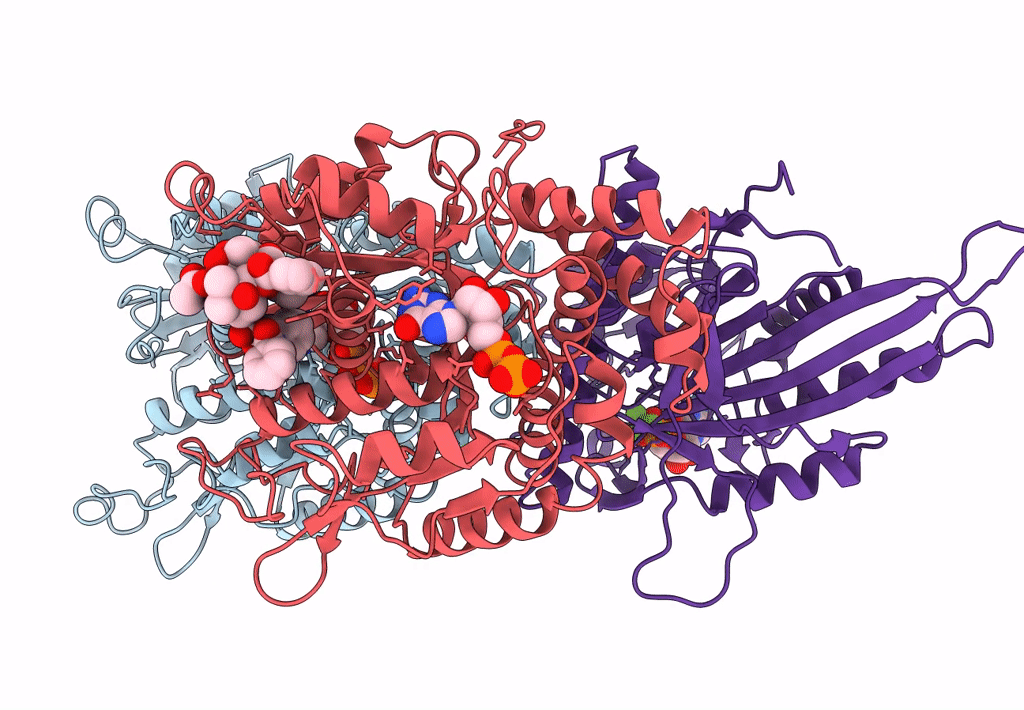 7LVR image