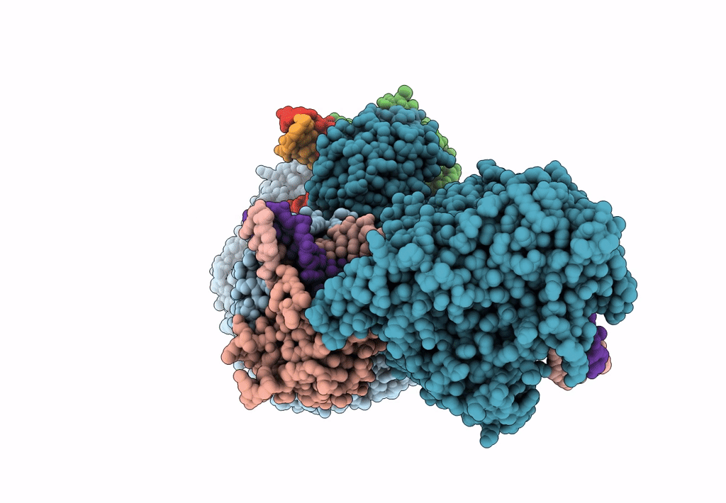 7LVV image