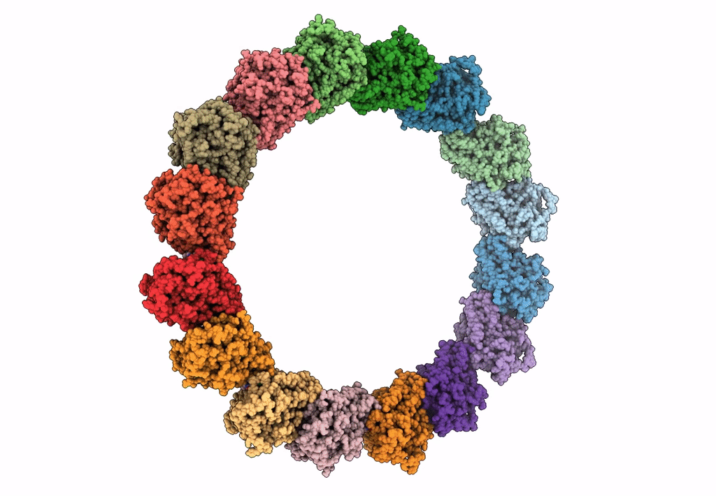 7LXB image