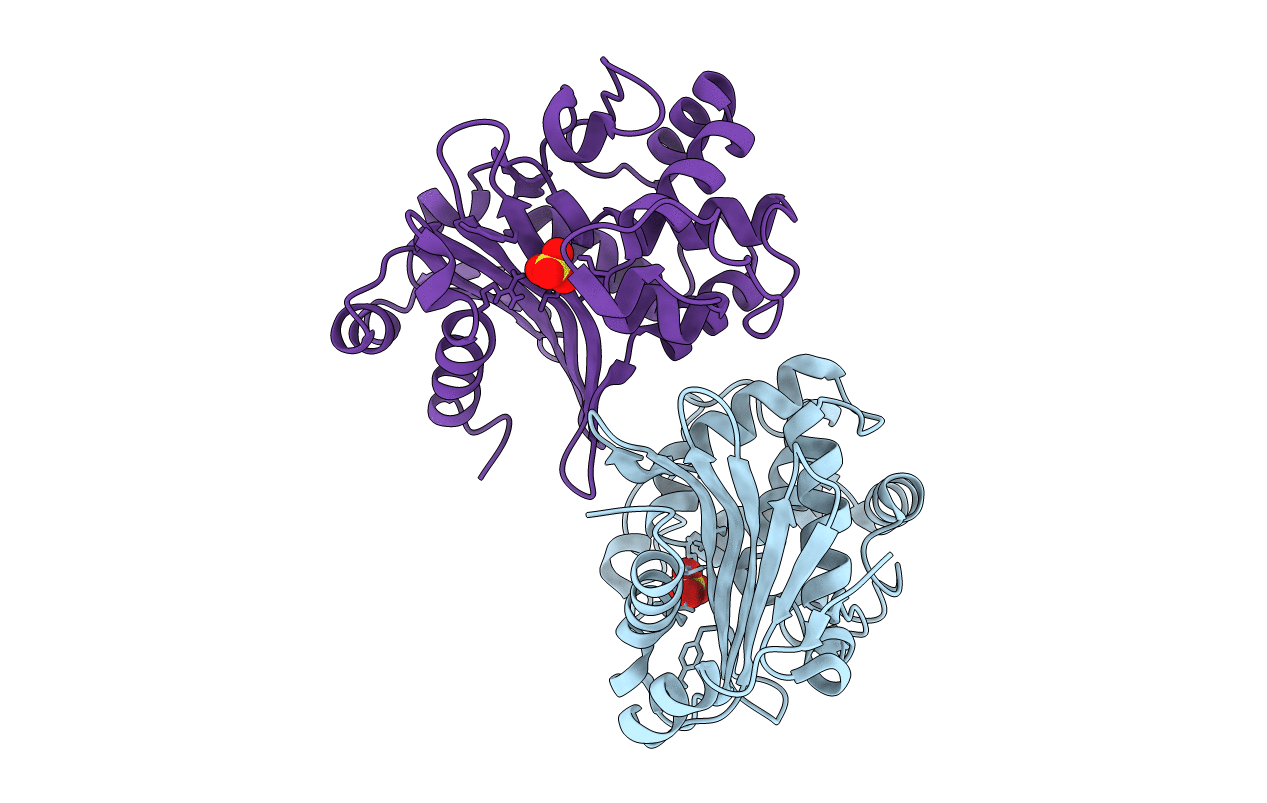 7LXG image