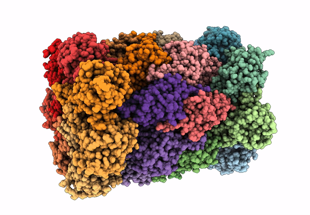 7LXV image