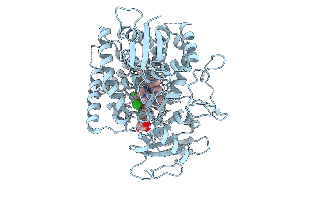 7LYX image