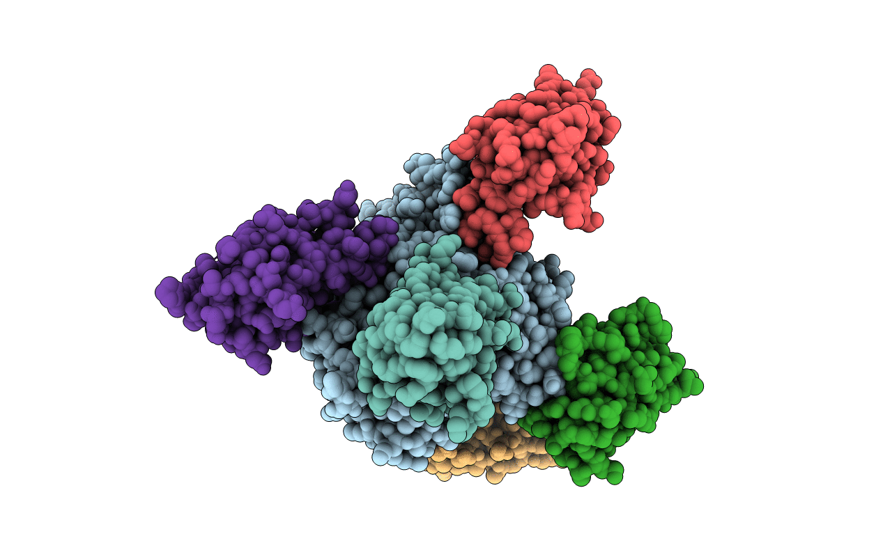 7M1H image