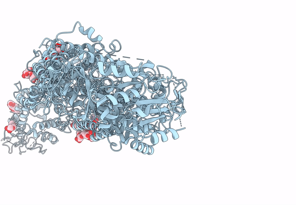 7M1P image