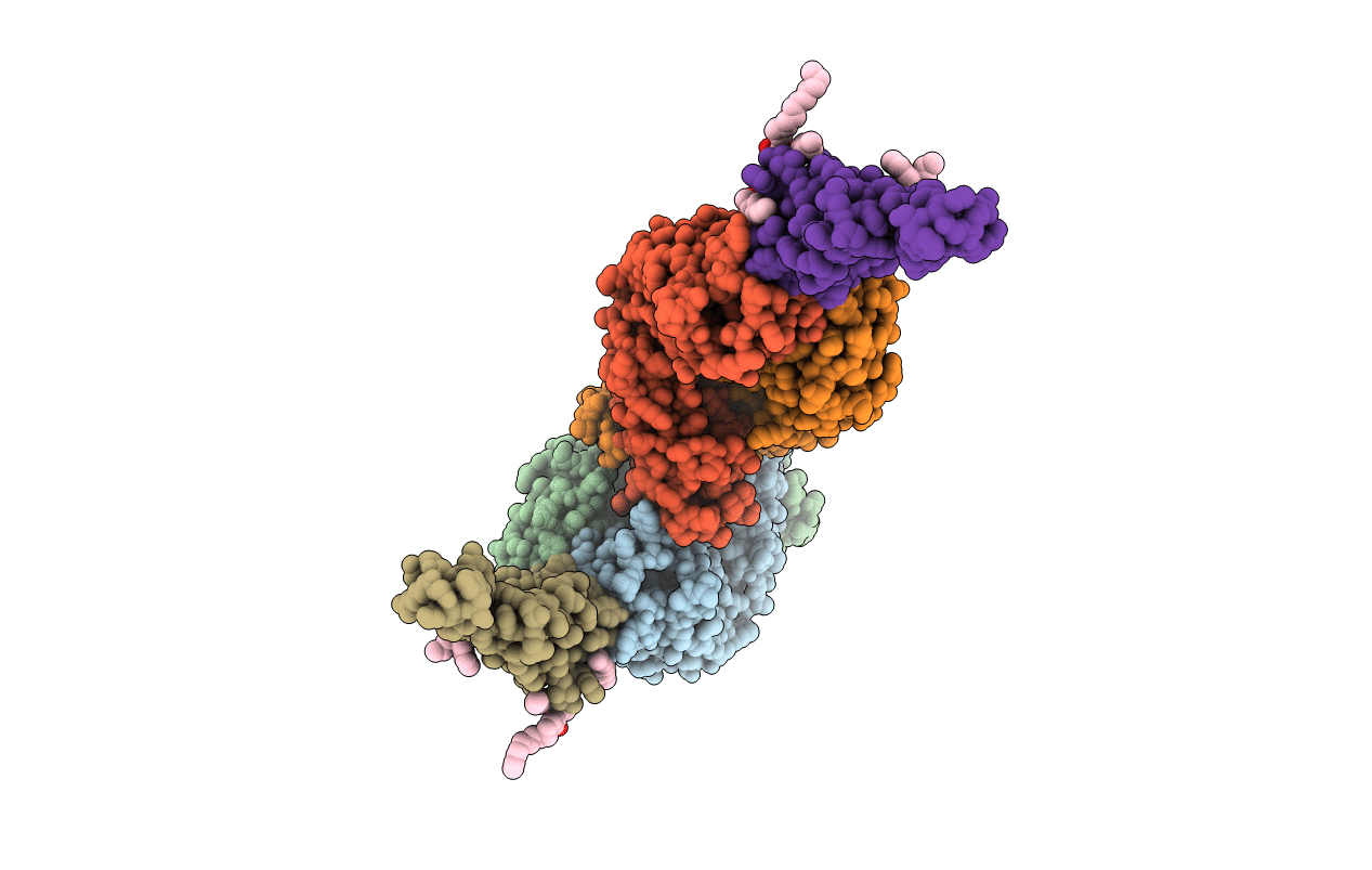 7M2H image