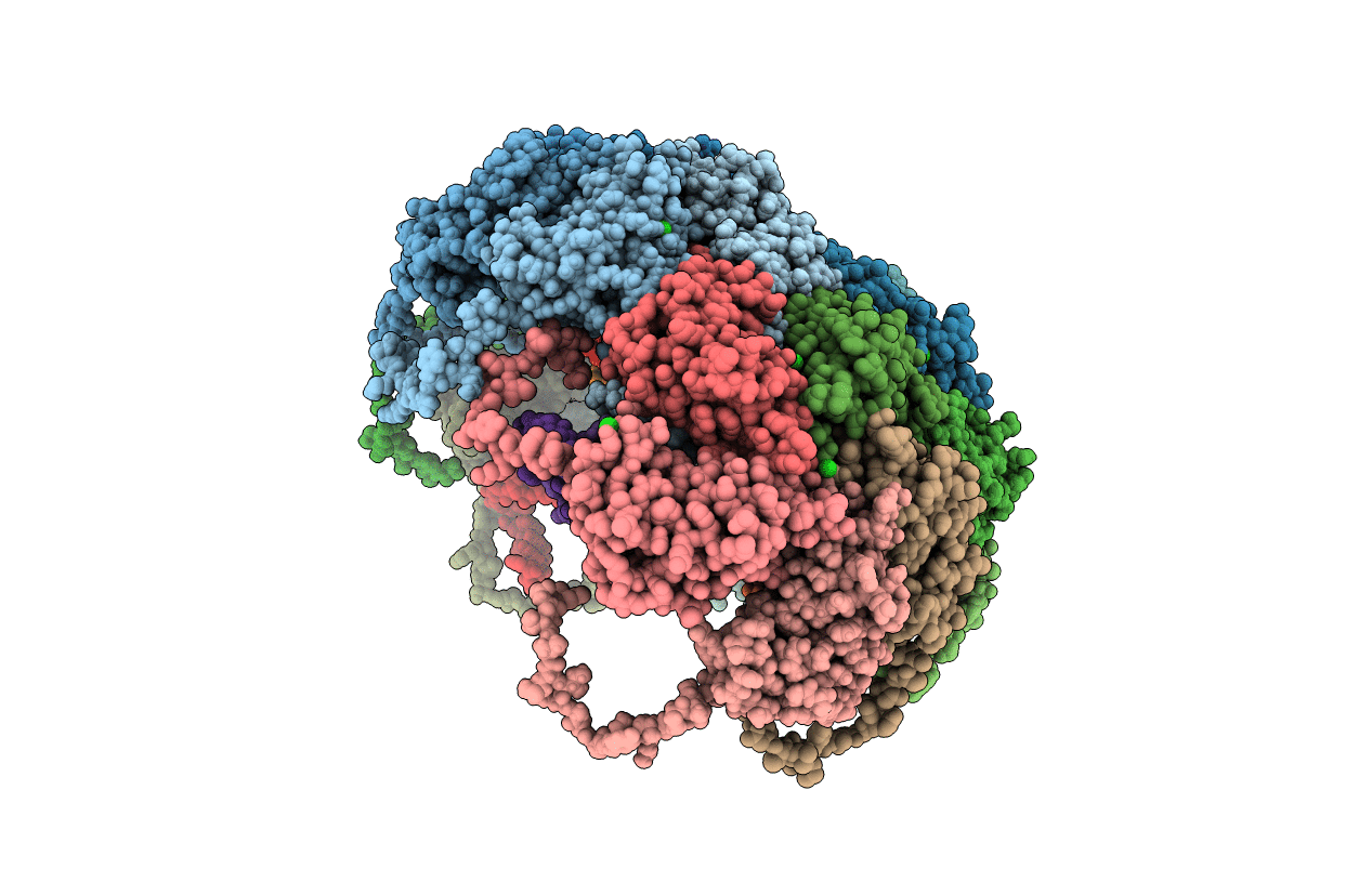 7M2V image