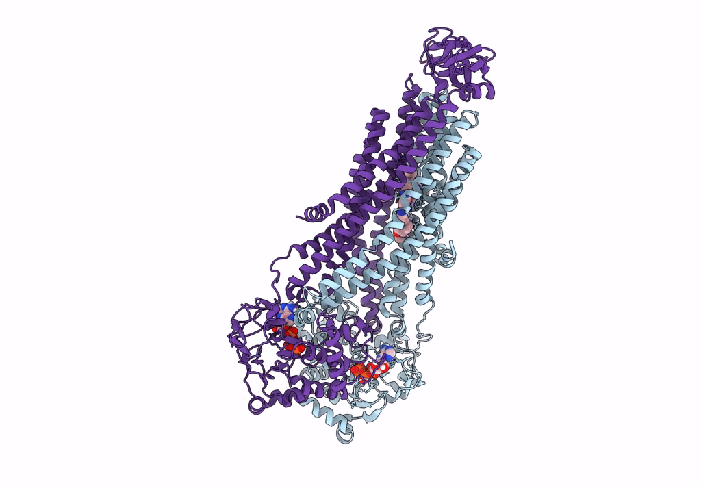 7M33 image