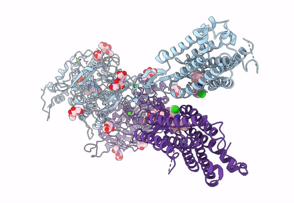 7M3E image
