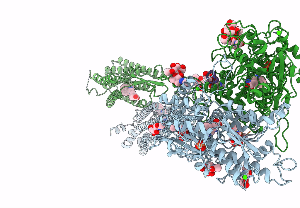 7M3G image