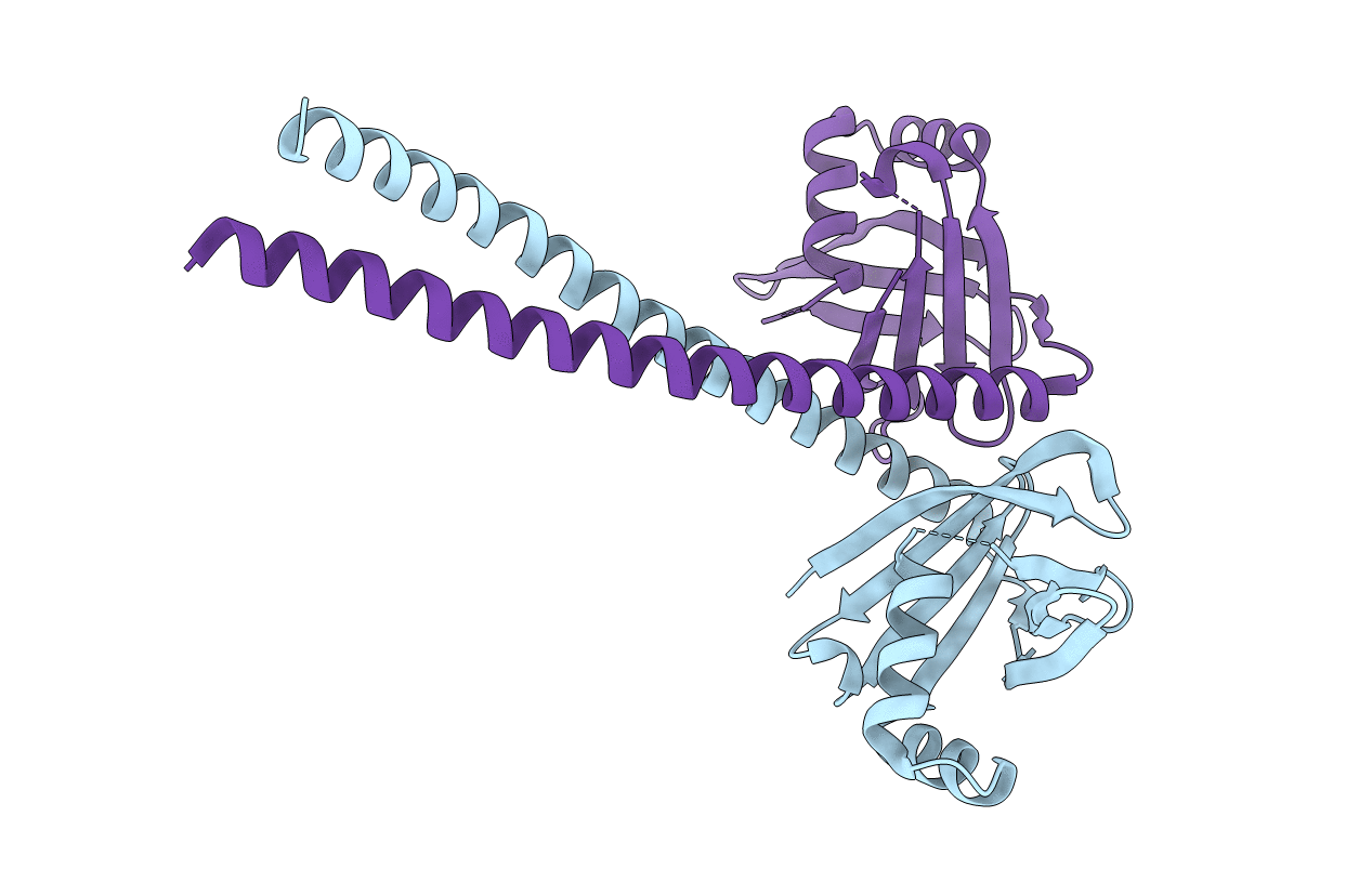 7M3P image