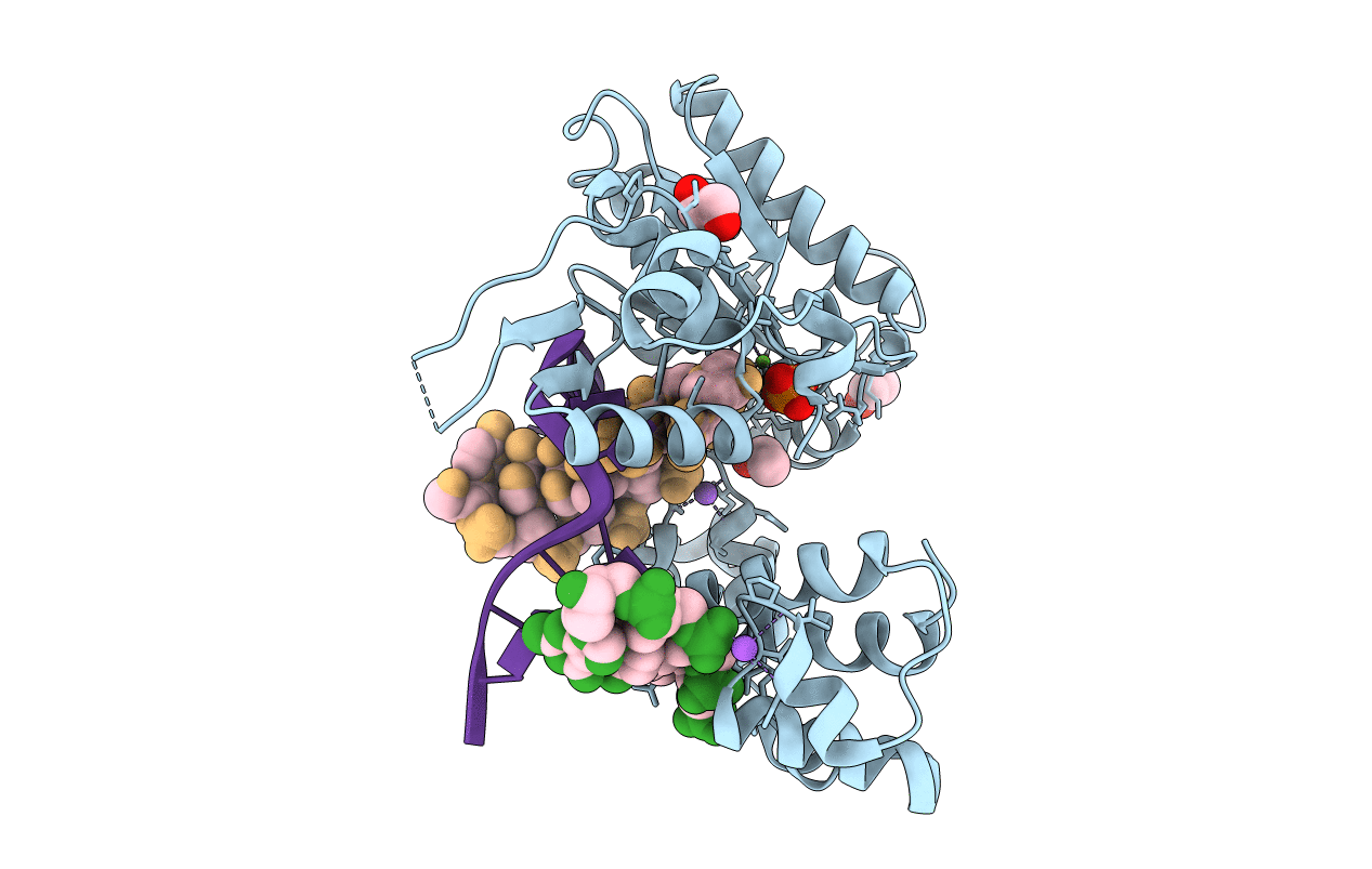 7M4G image
