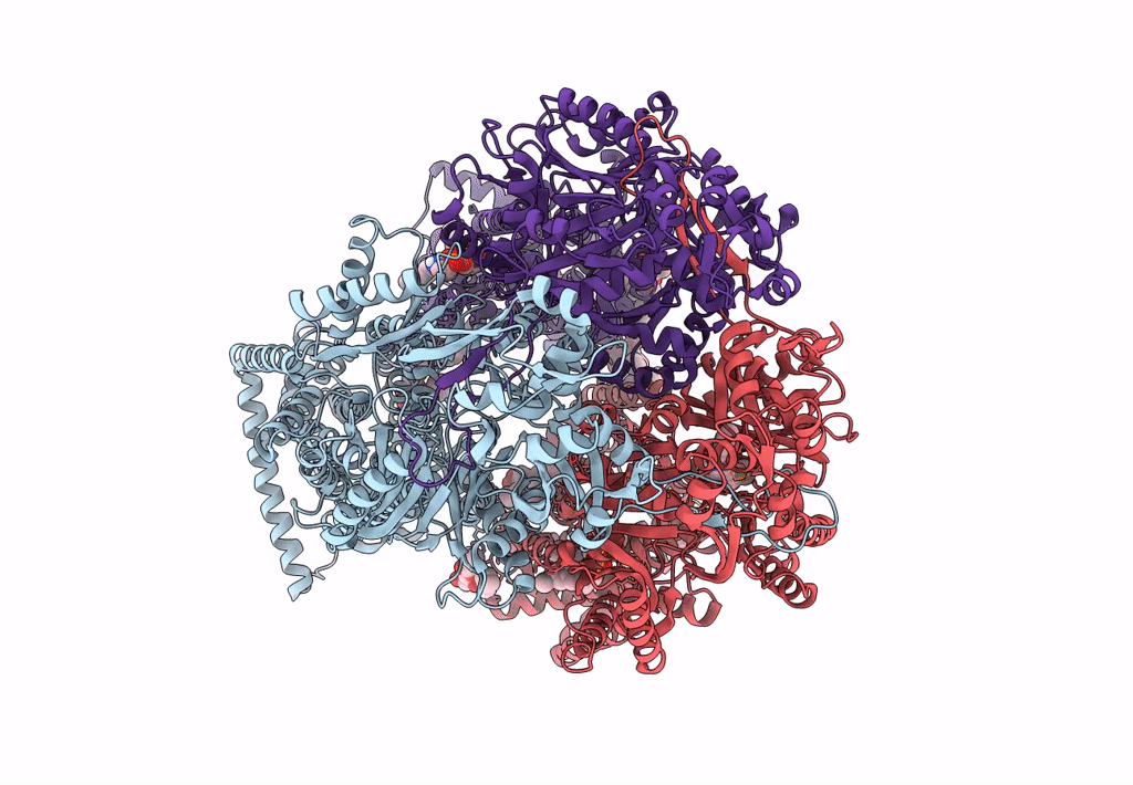 7M4P image