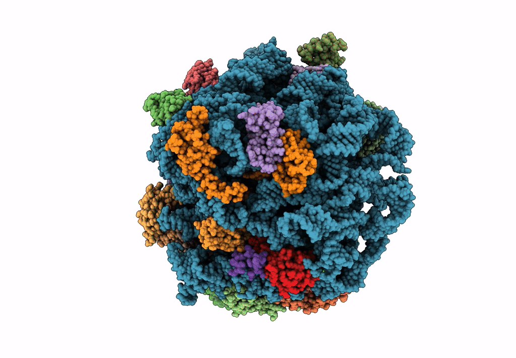 7M4V image