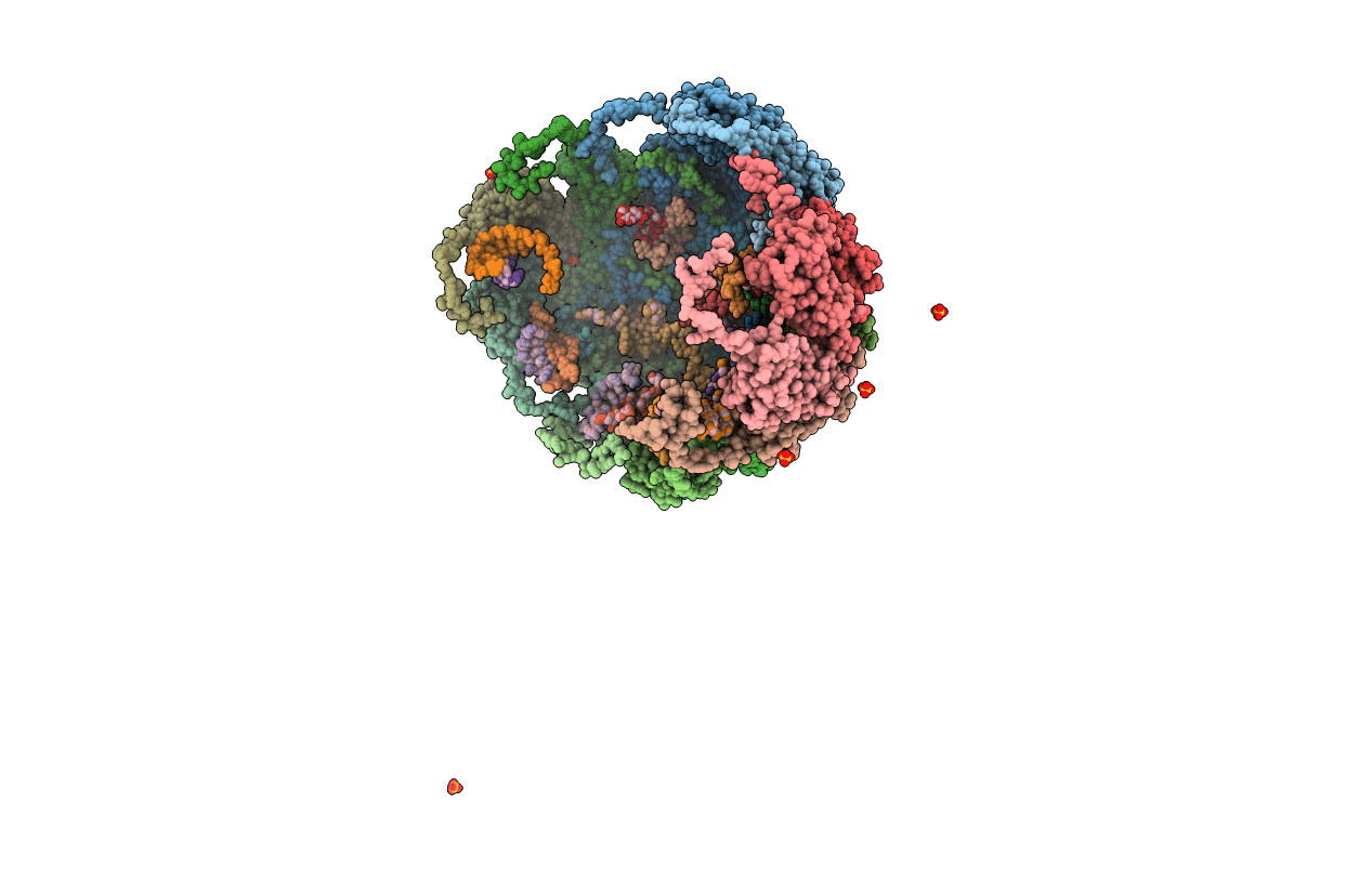 7M50 image