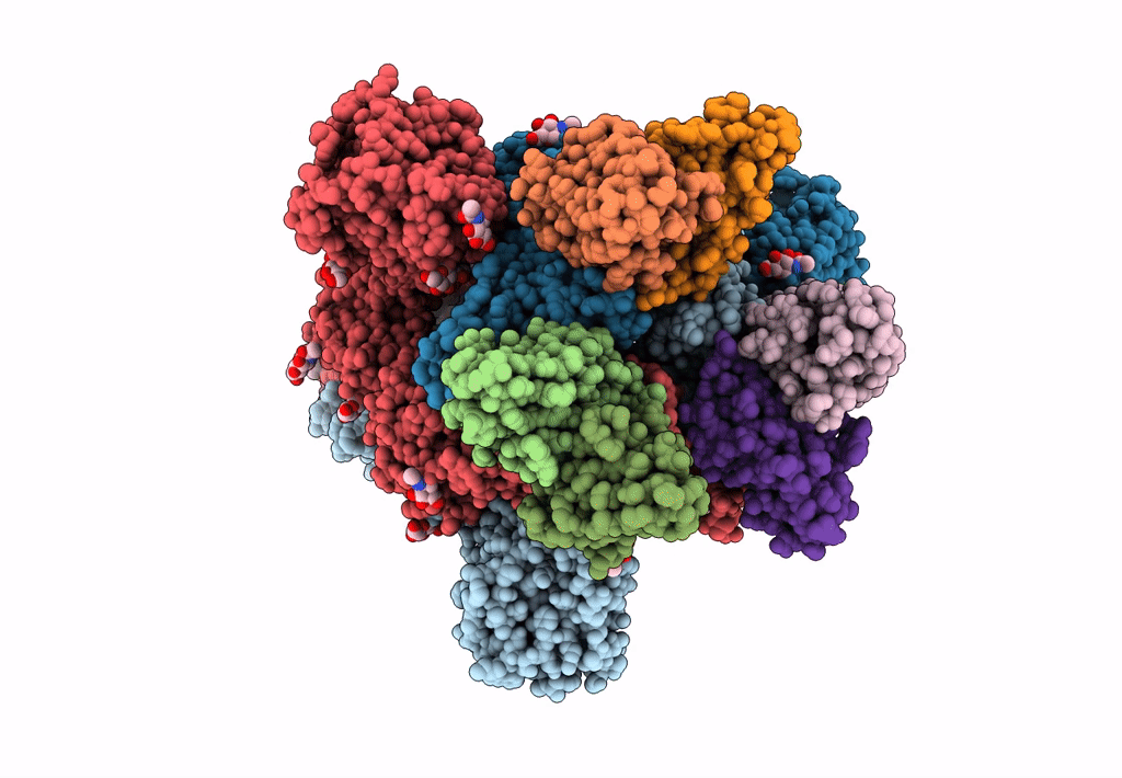 7M6E image
