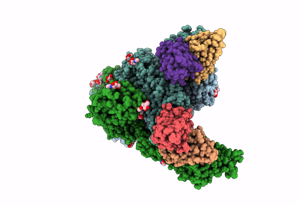 7M6H image
