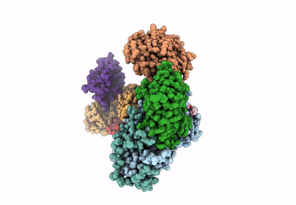 7M74 image