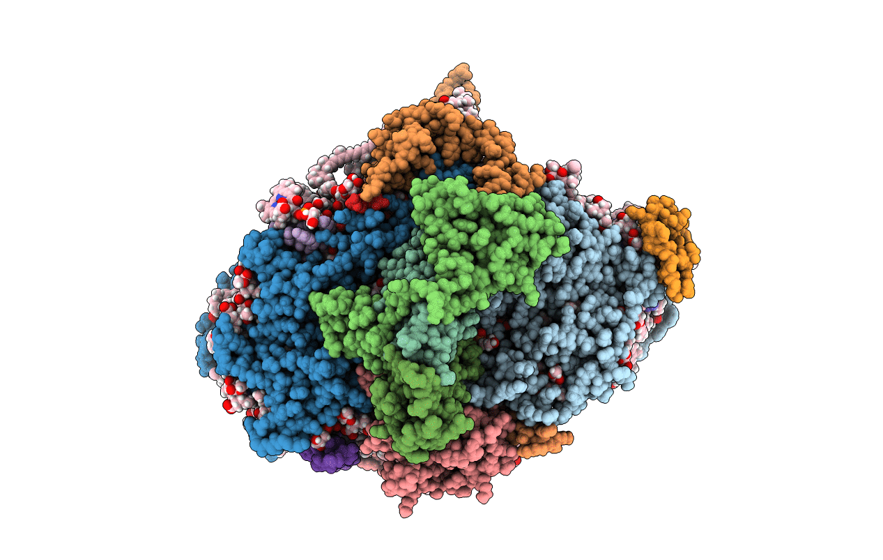 7M75 image