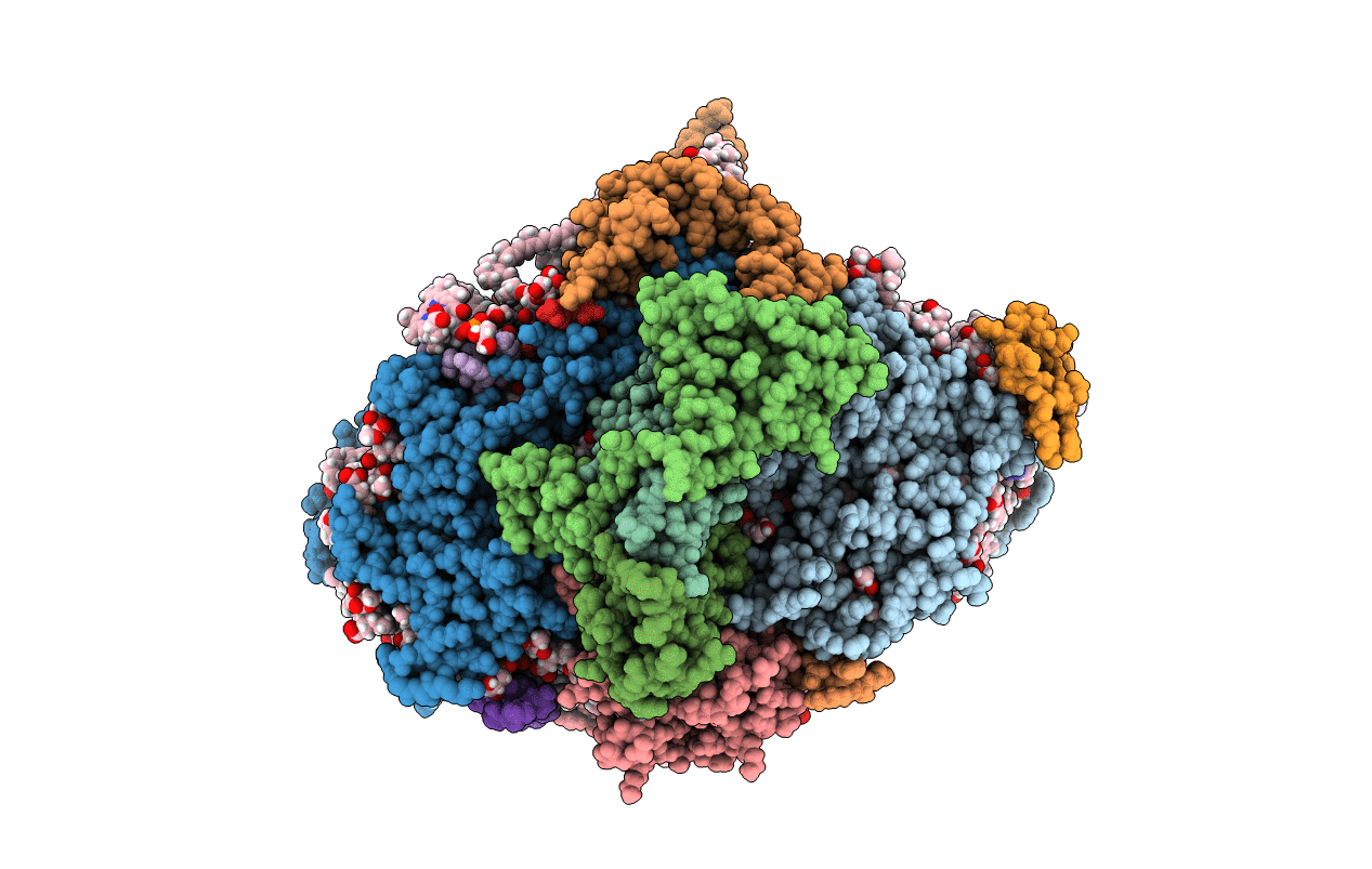 7M76 image