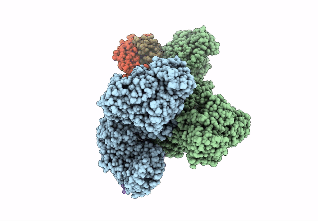 7M7G image